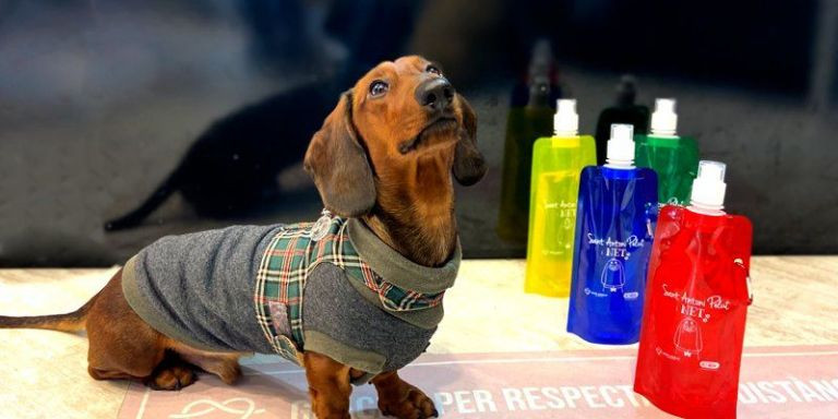 Un perro con las botellas que entregan en Sant Antoni para limpiar los orines / SANT ANTONI COMERÇ