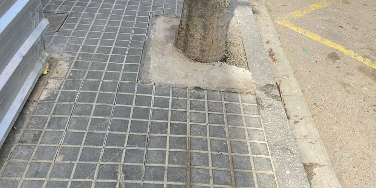 Alcorque con cemento en la calle del Doctor Martí i Julià / L'HOSPITALET VERD