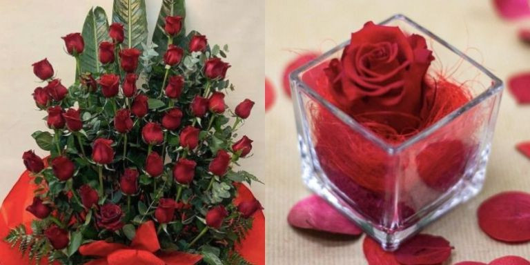 Rosas de la floristería Joví / JOVÍ