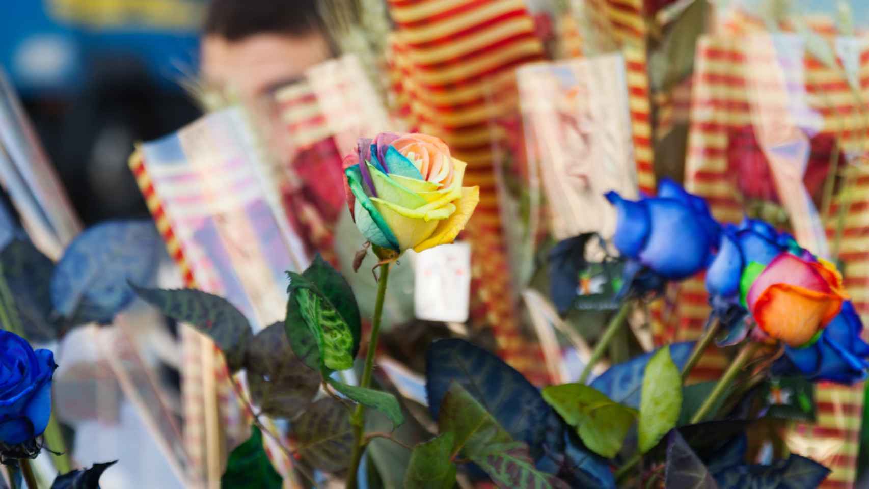 Rosas preparadas para Sant Jordi / FREEPIK