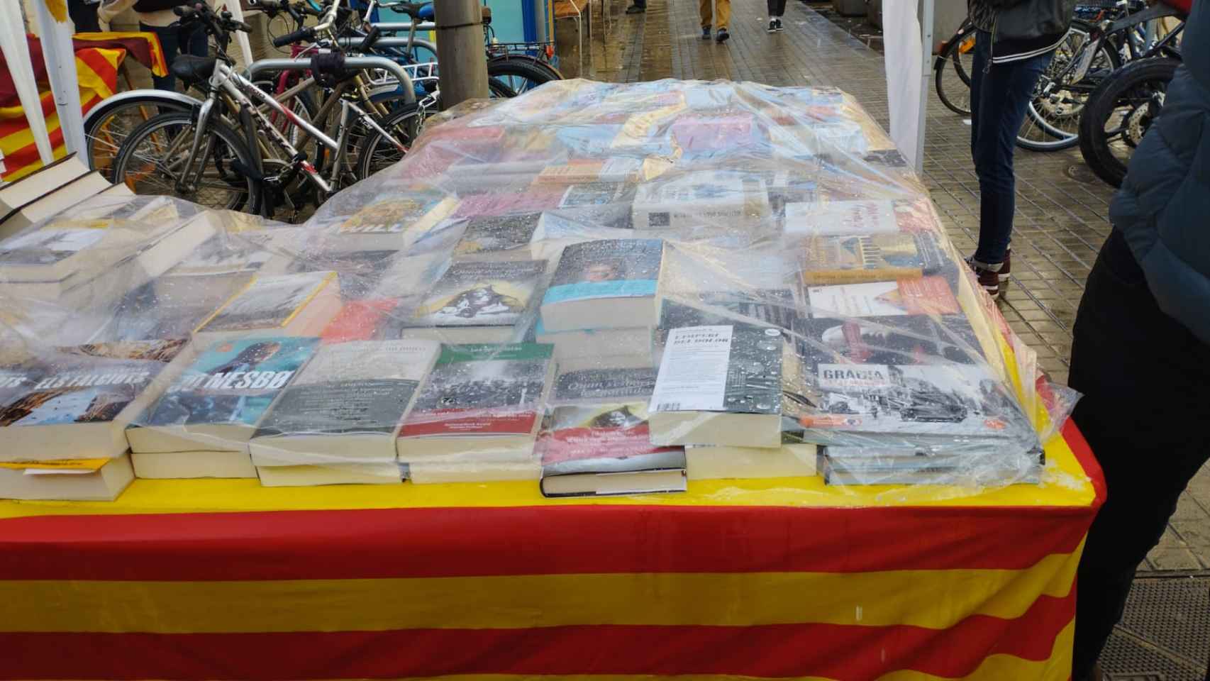 Libros protegidos durante la granizada / METRÓPOLI