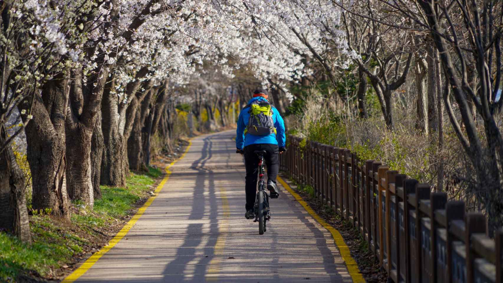 Imagen de archivo de un carril bici / PEXELS