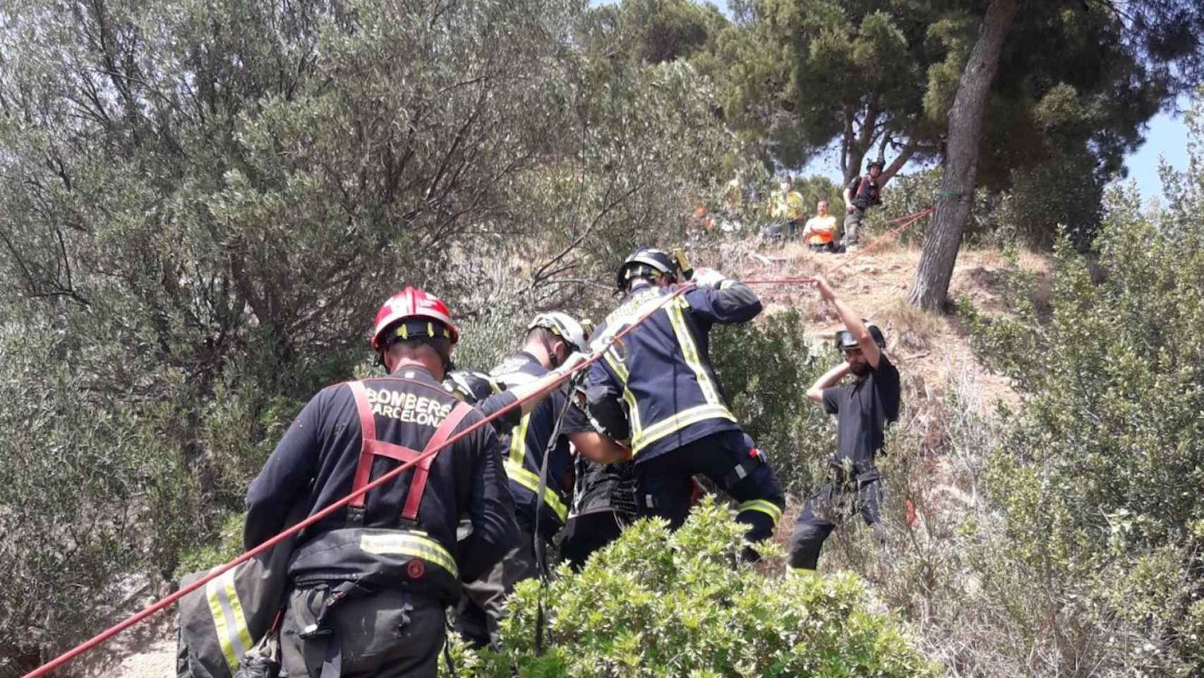 Los bomberos rescatando a una persona de un precipicio del Parque del Guinardó / BOMBERS DE BARCELONA