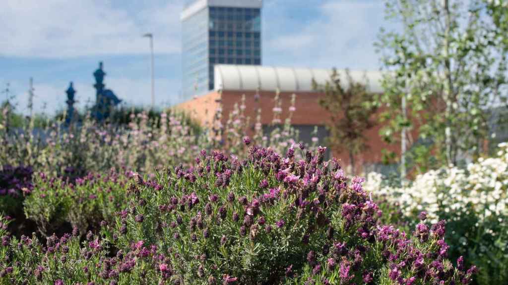 Naturalización de la planta potabilizadora de Sant Joan Despí: el agua es un factor clave en la transformación de las ciudades / AIGÚES DE BARCELONA