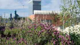 Naturalización de la planta potabilizadora de Sant Joan Despí: el agua es un factor clave en la transformación de las ciudades / AIGÚES DE BARCELONA