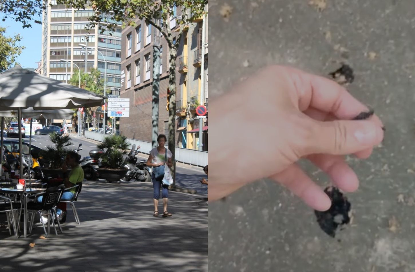 Fotomontaje de la rambla de Fabra i Puig y la chapuza del pavimento / ARCHIVO