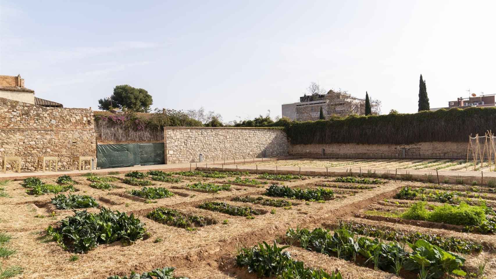 El huerto medieval del Monestir de Pedralbes / AYUNTAMIENTO DE BARCELONA