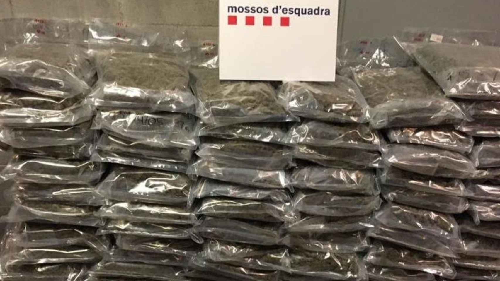 Marihuana intervenida en un camión por los Mossos d'Esquadra