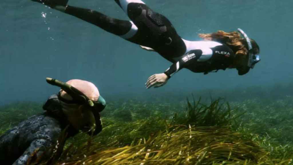 Los embajadores de ISDIN Manu Sanfélix y Ona Carbonell, rodeados de posidonia en el Mediterráneo / ISDIN