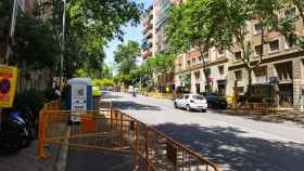 La calle de Pi i Margall, en obras, con algunos de sus frondosos árboles / METRÓPOLI - JORDI SUBIRANA