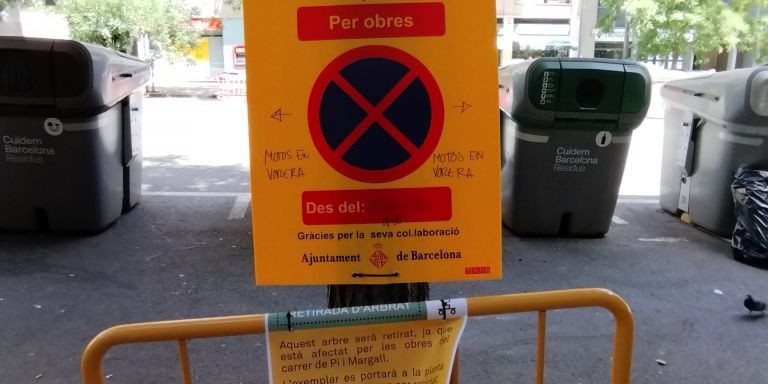 Cartel sobre un árbol que será talado en Pi i Margall / METRÓPOLI - JORDI SUBIRANA