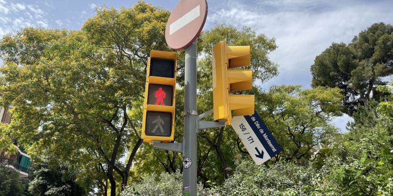 Señal de tráfico rota a causa de la caída de la rama / METRÓPOLI