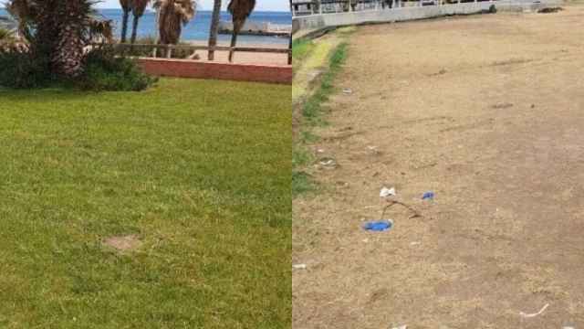 El antes y el después del césped del Parc del Fòrum tras el Primavera Sound / CEDIDA
