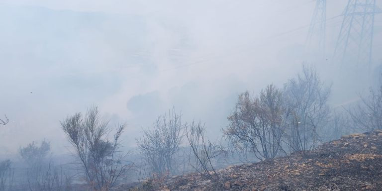 Incendio en Santa Coloma / XARXA DE PARCS NATURALS