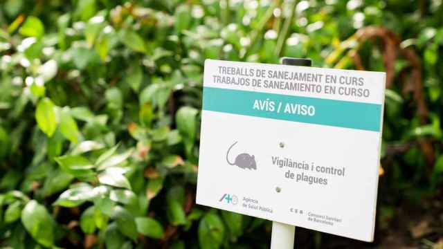 Carteles por una plaga de ratas en un parque de Barcelona / AYUNTAMIENTO DE BARCELONA