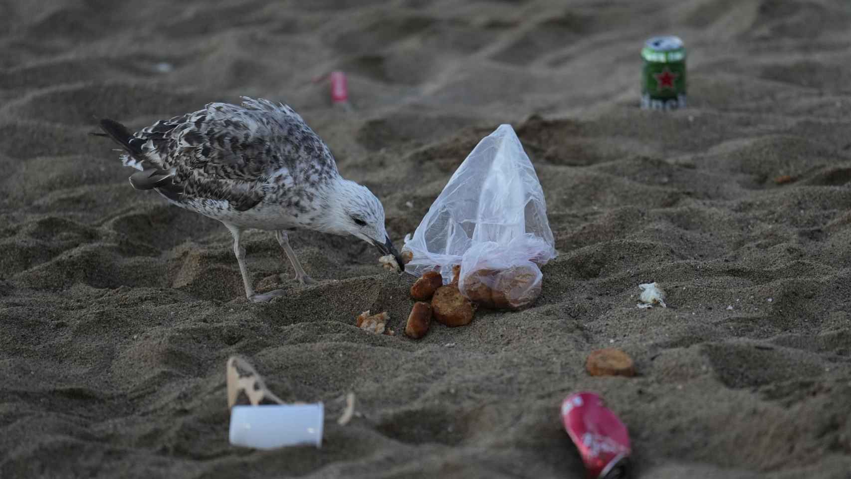 Basura en la playa de Barcelona tras la verbena de Sant Joan / EFE