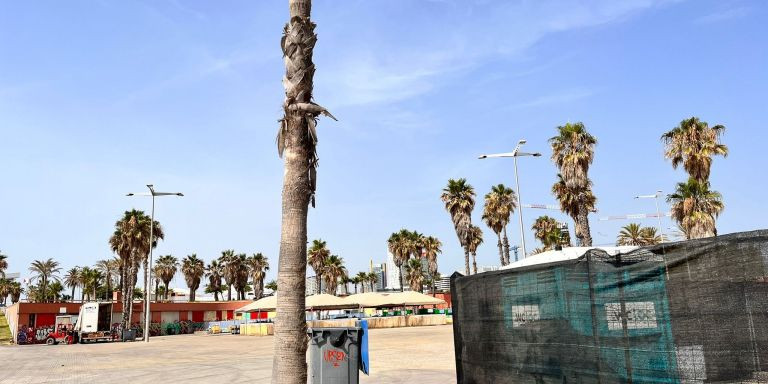 Materiales de construcción en la playa del Fòrum / ÁNGELA VÁZQUEZ