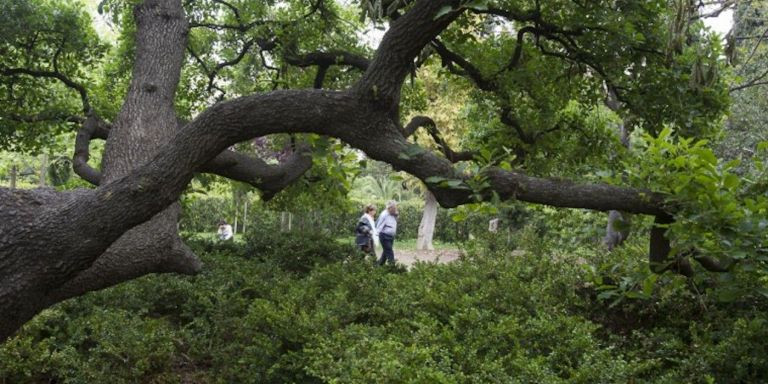 Dos personas pasean por el interior de los jardines de la Tamarita / AJUNTAMENT DE BARCELONA