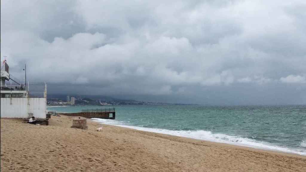 Zona de la playa detrás de la piscina municipal / CEDIDA