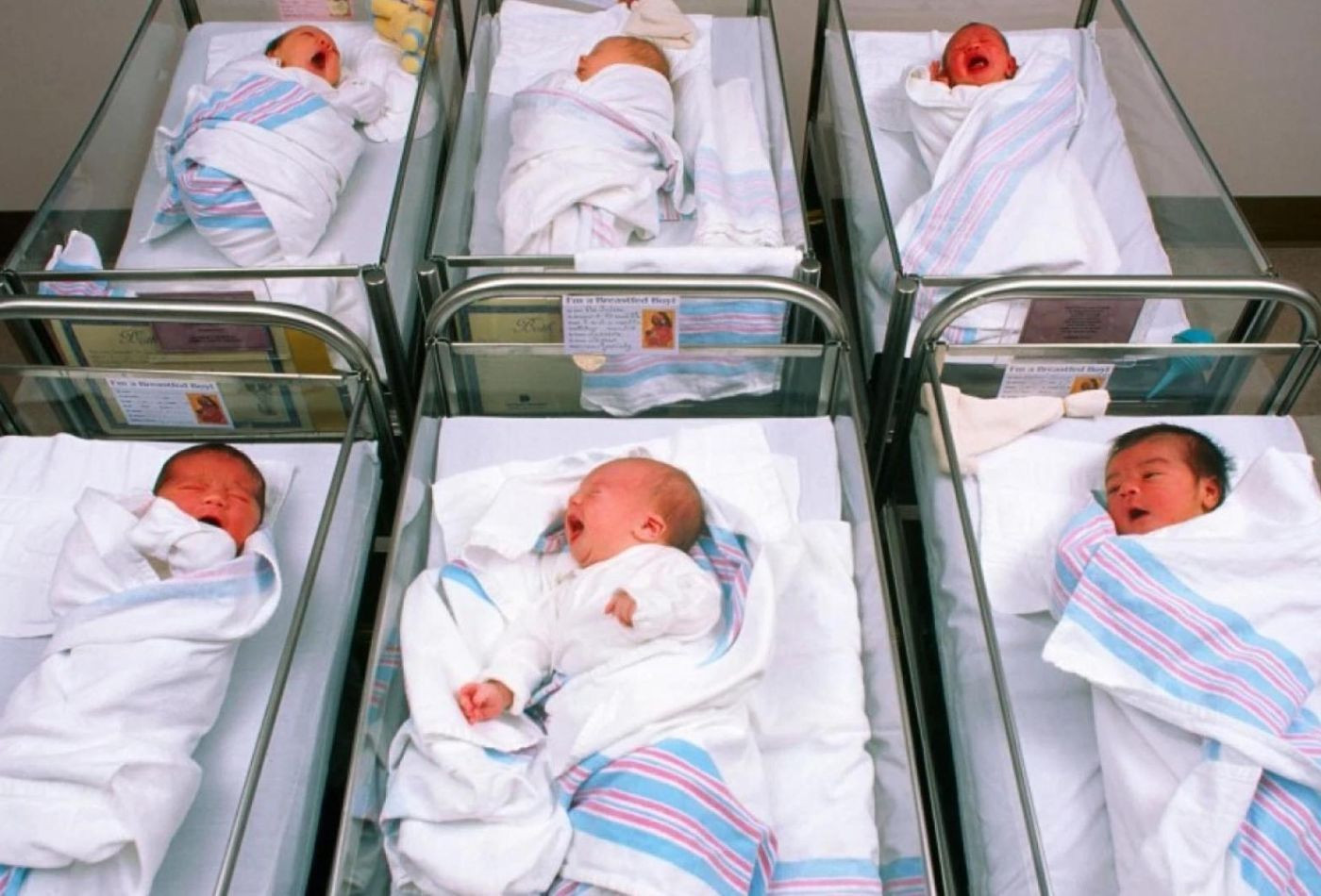 Bebés recién nacidos en el hospital en una imagen de archivo / ARCHIVO