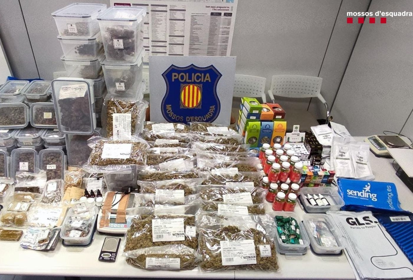 Sustancias y herramientas en un laboratorio de cannabis en Badalona / MOSSOS D'ESQUADRA