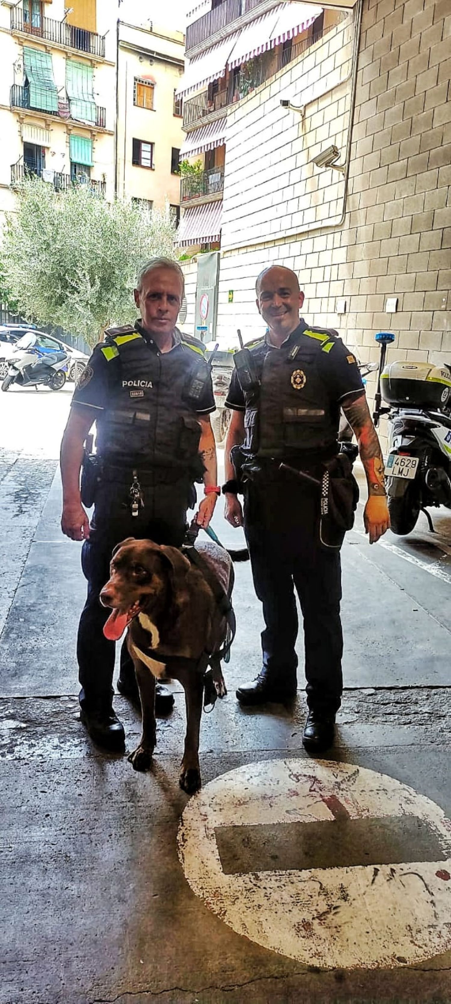 Perro abandonado en Ciutat Vella / GUARDIA URBANA