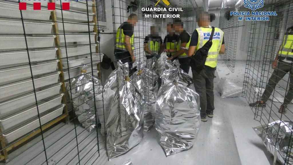 Efectivos policiales durante la operación / MINISTERIO DE INTERIOR