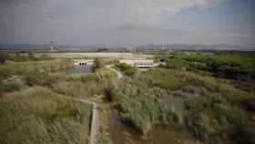 Vista general del espacio protegido de la Ricarda, en El Prat de Llobregat / EUROPA PRESS