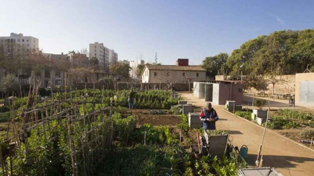 Huertos Urbanos de Barcelona / AJUNTAMENT DE BARCELONA