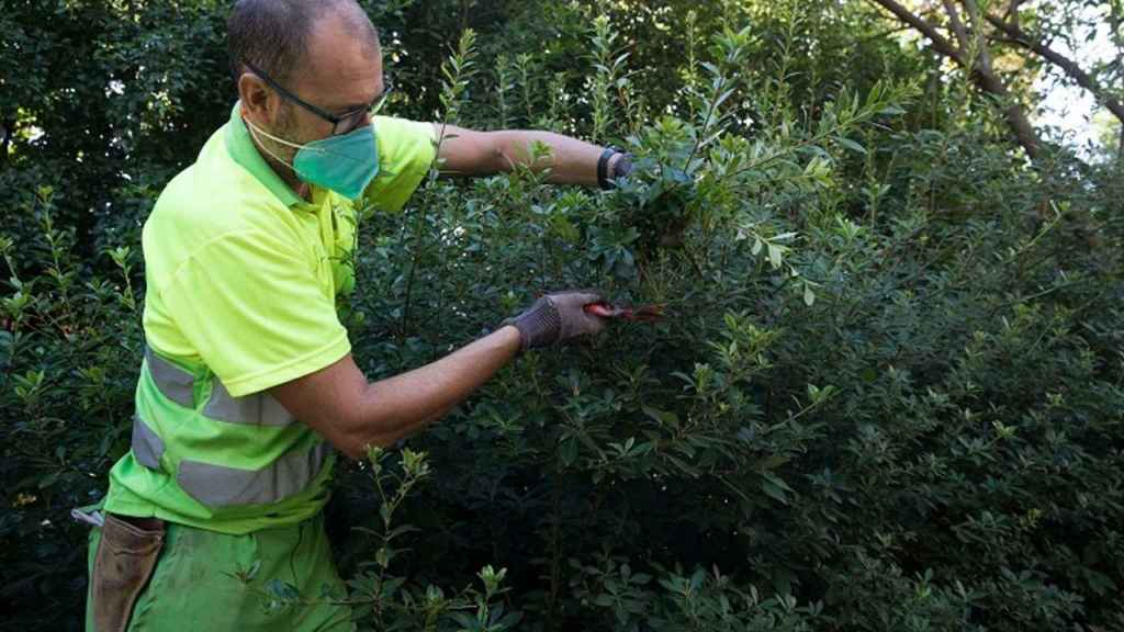 Trabajador de Parcs i Jardins / AJ BCN