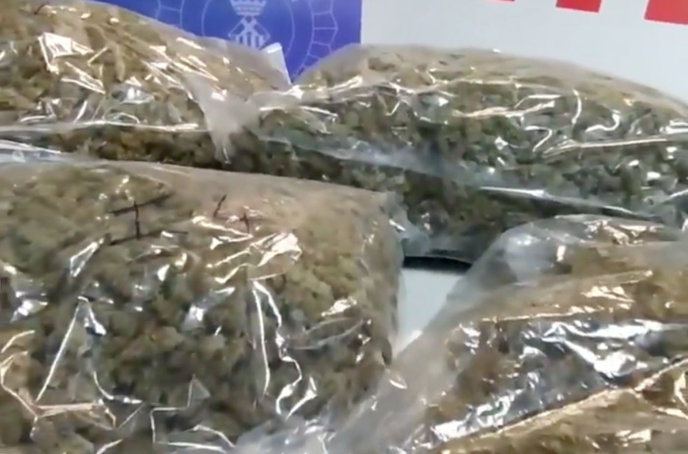 Bolsas de marihuana listas para su distribución / MOSSOS D'ESQUADRA