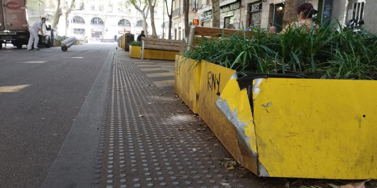 Desperfectos en una maceta de la superilla de Sant Antoni / GUILLEM ANDRÉS