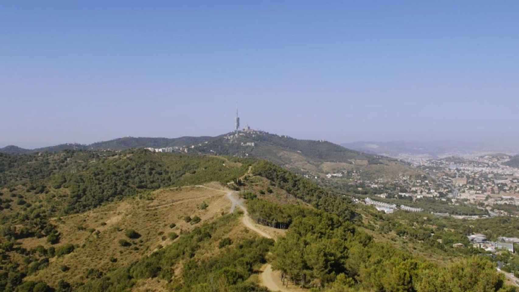 Sierra de Collserola / TURISME BAIX LLOBREGAT