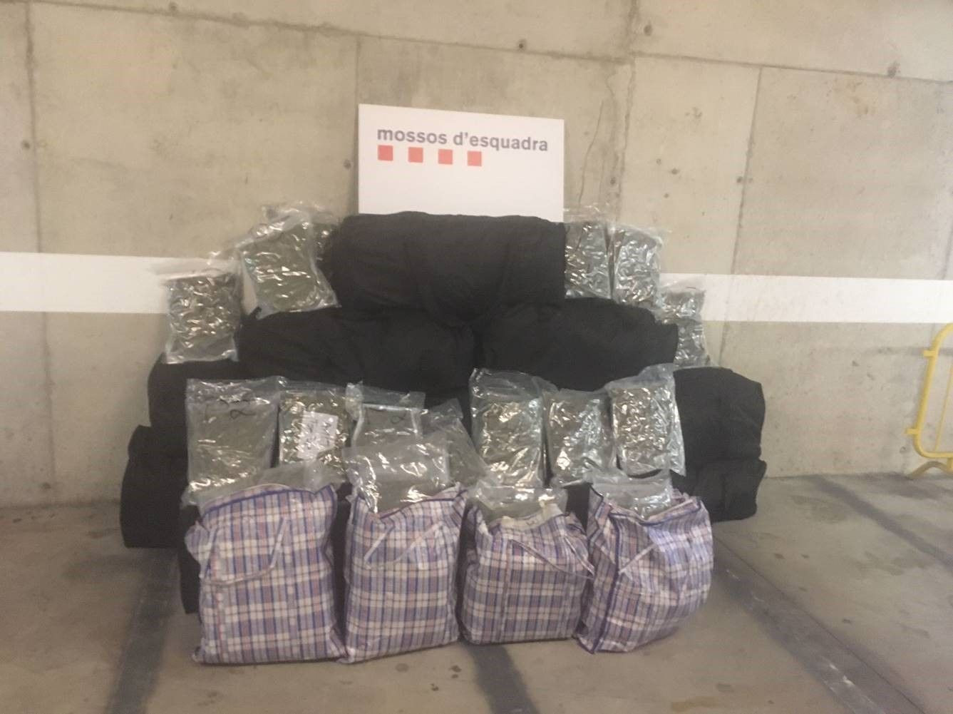 Bolsas de marihuana listas para su distribución / MOSSOS D'ESQUADRA