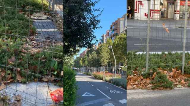 El nuevo carril bici de la Meridiana junto a la zona verde sucia y abandonada durante su instalación / METRÓPOLI