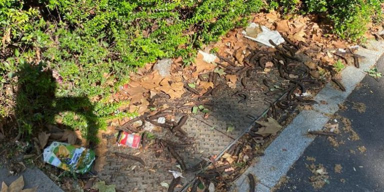 Restos de basura en las zonas verdes del carril bici de la Meridiana / METRÓPOLI