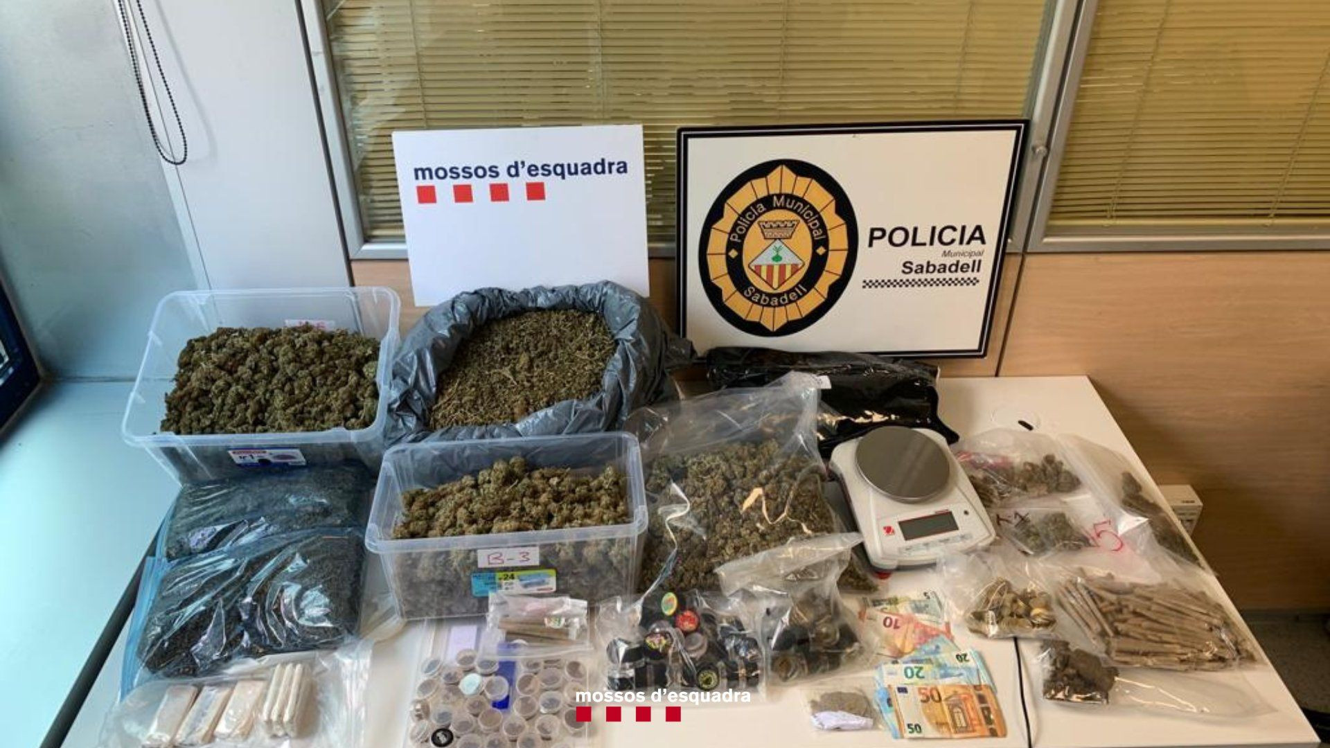 Material incautado por los Mossos en una redada en una asociación cannábica de Sabadell / TWITTER MOSSOS