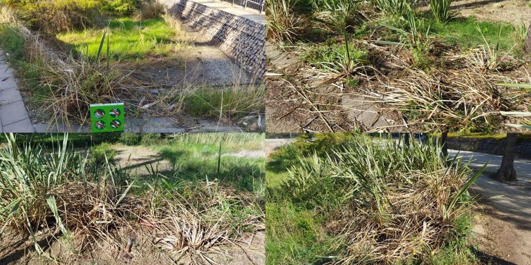 Vegetación pisada y descuidada en el parque de Diagonal Mar / JORDI SUBIRANA - METRÓPOLI