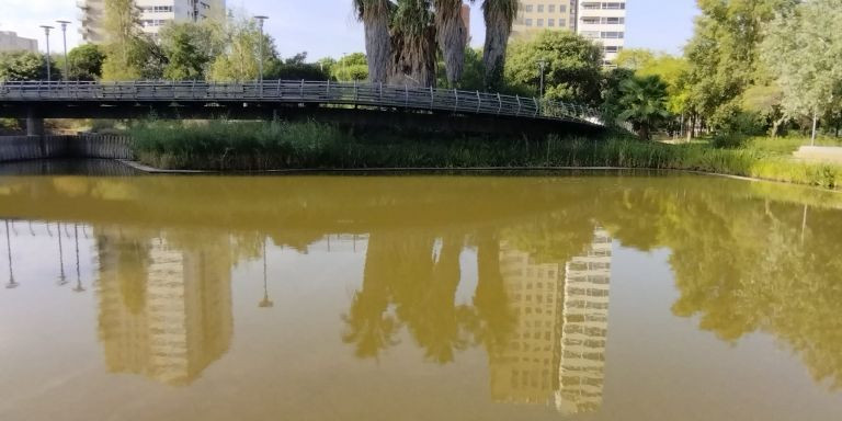 El agua del lago de Diagonal Mar de color marrón / JORDI SUBIRANA - METRÓPOLI