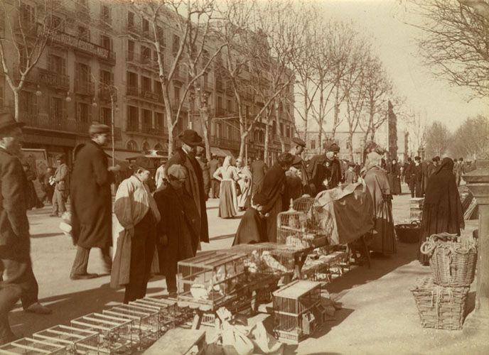 Vendedores de pájaros en la Rambla / F.B - A.F.B