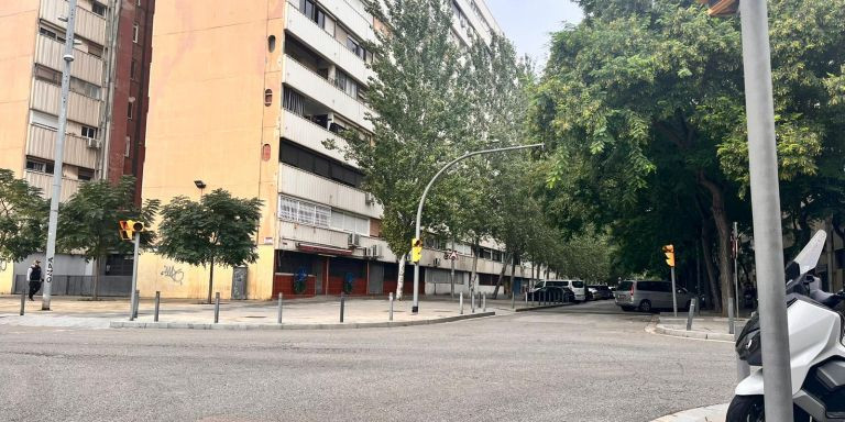 La calle de Llevant de La Mina donde tuvo lugar el último homicidio / AV - METRÓPOLI