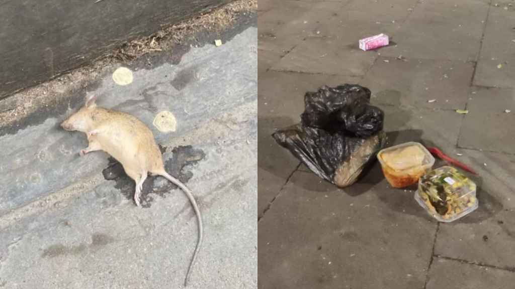 Los restos de comida atraen a las ratas y cucarachas en el Raval / CEDIDA