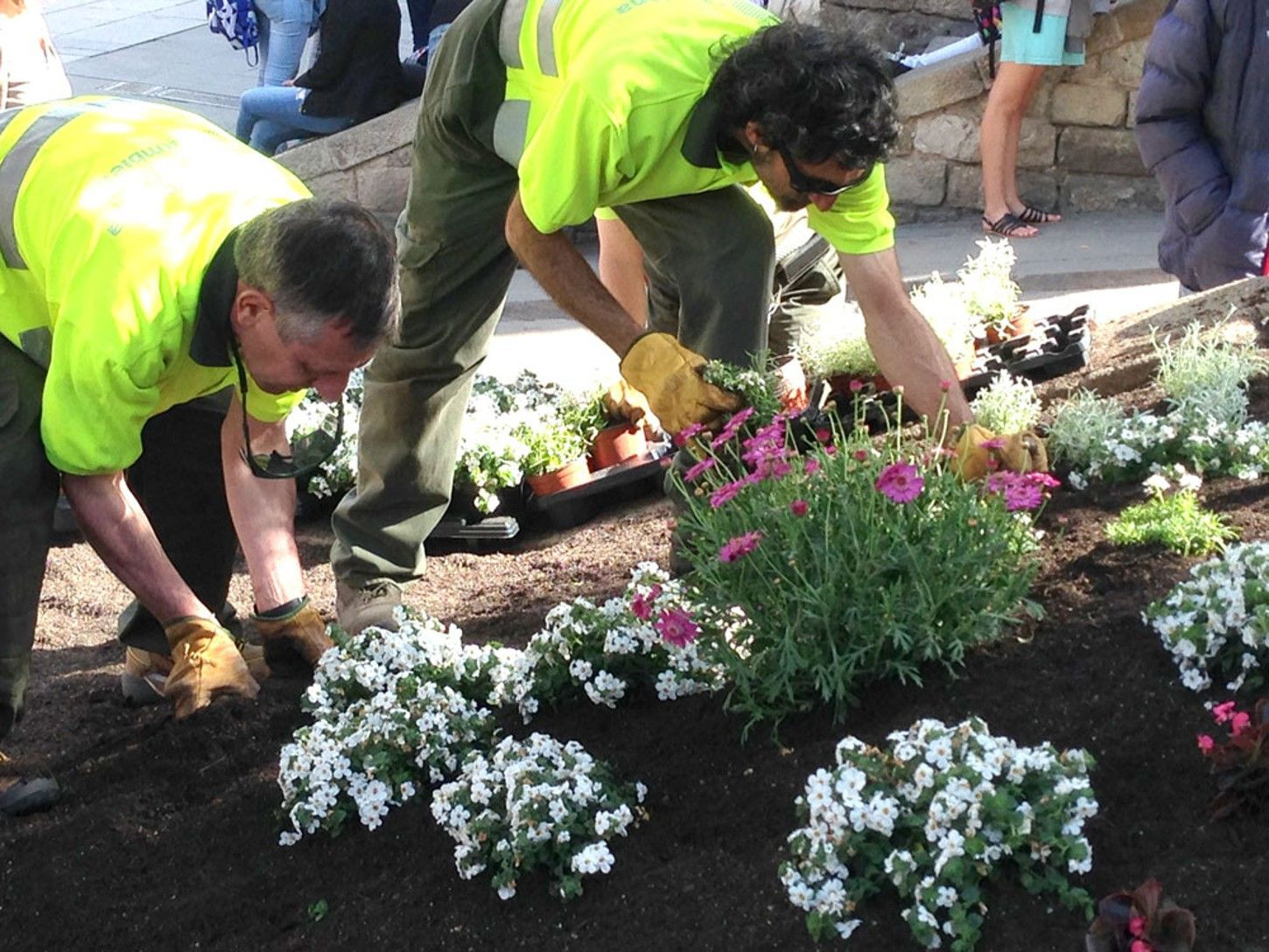 Trabajadores de Parcs i Jardins en Barcelona / AJ BCN