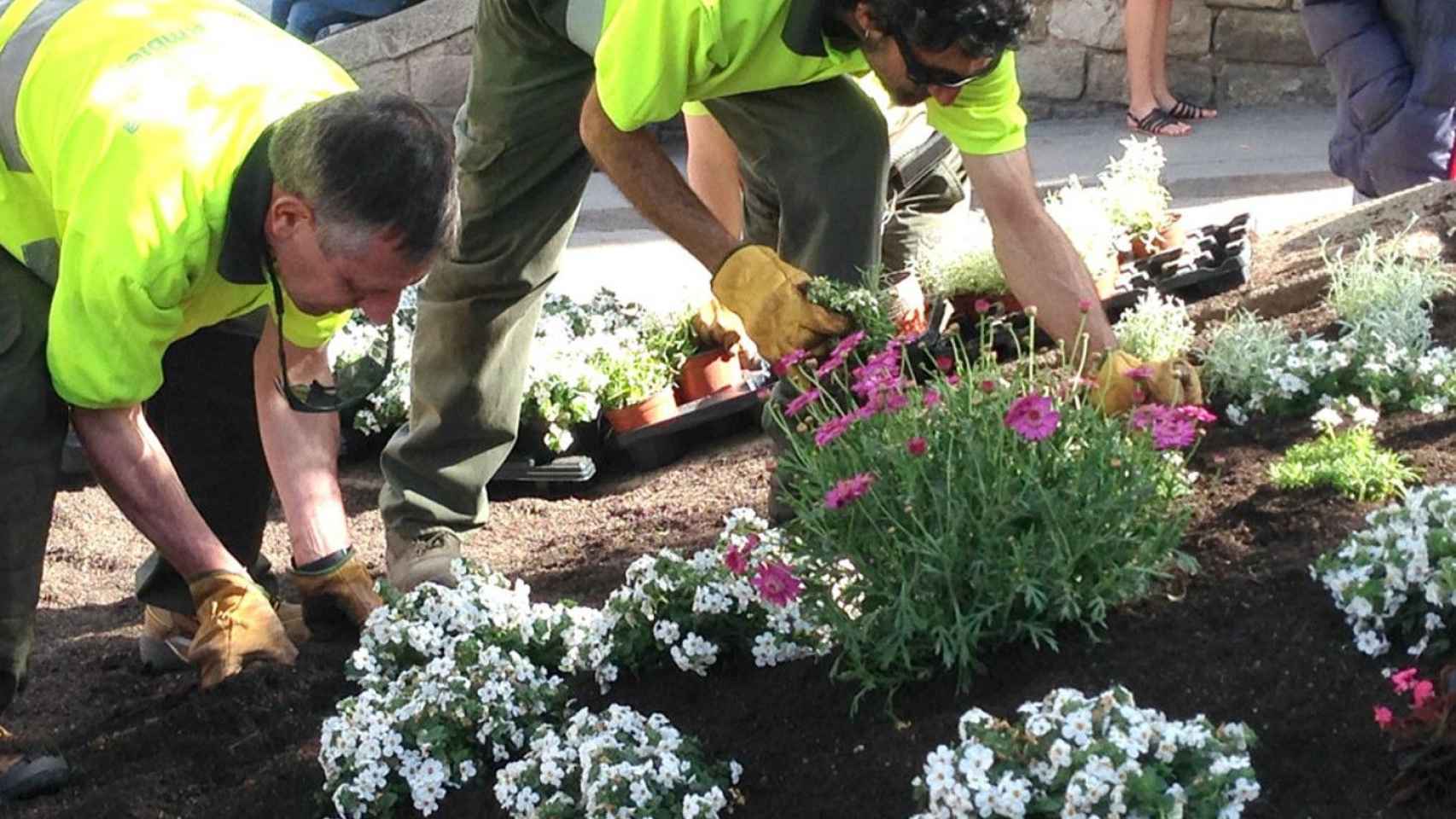 Trabajadores de Parcs i Jardins en Barcelona / AJ BCN