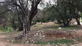 Parque de l'Oreneta de Sarrià / METRÓPOLI - RP