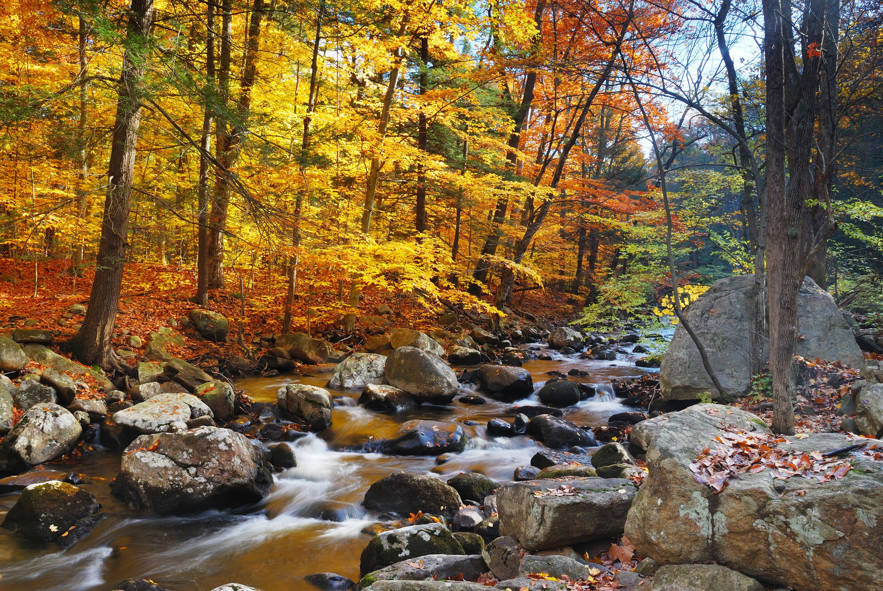 Paisaje bucólico en Santa Fe de Montseny / Shutterstock