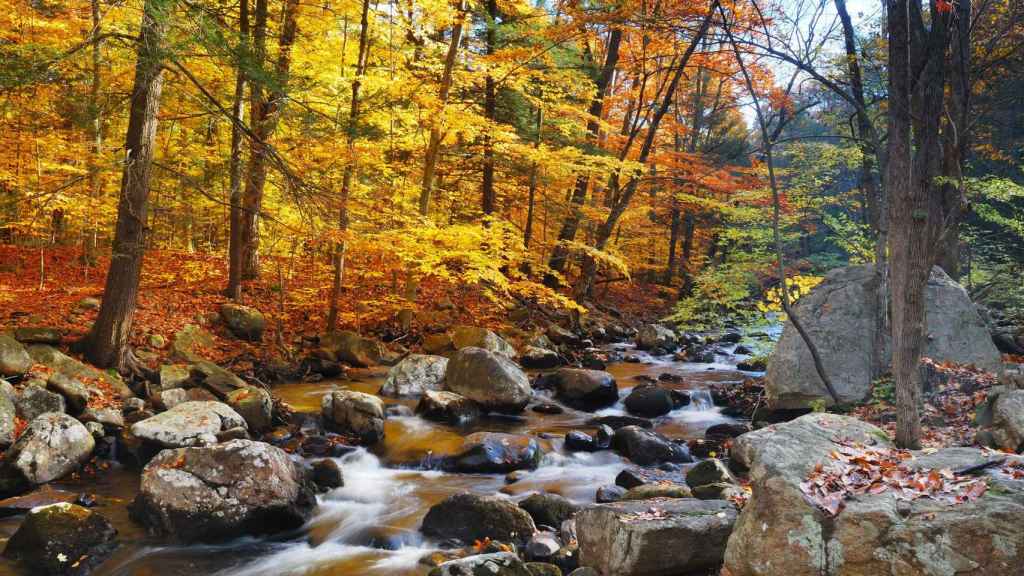 El bosque del Montseny en una imagen de archivo