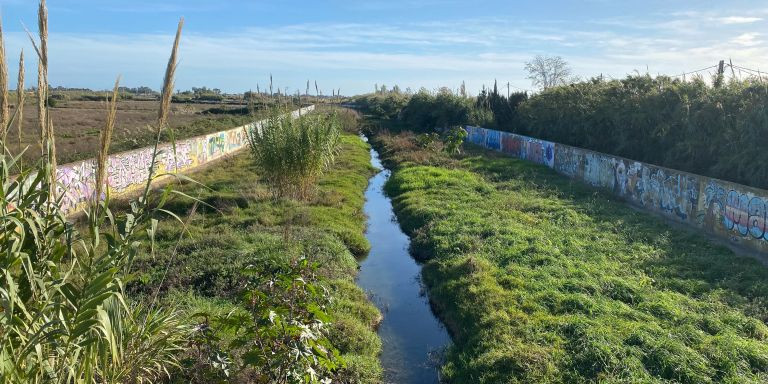 Deterioro de la riera de Viladecans en 2022 / METRÓPOLI