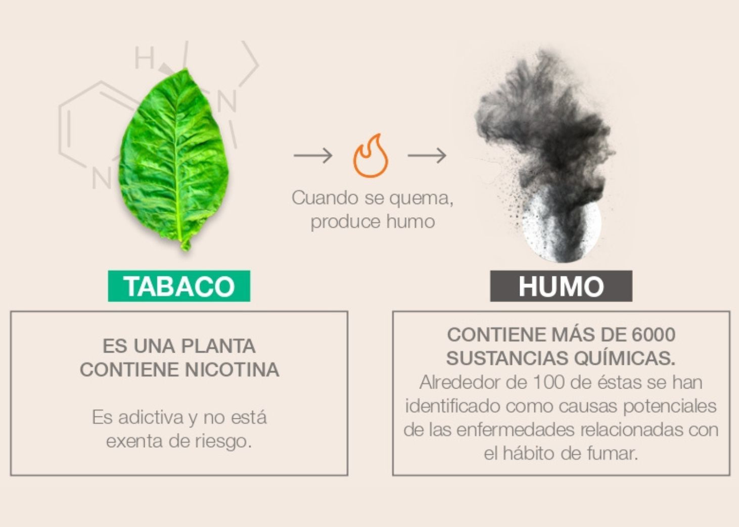 Comparativa entre los efectos del tabaco y del humo / PHILIP MORRIS 