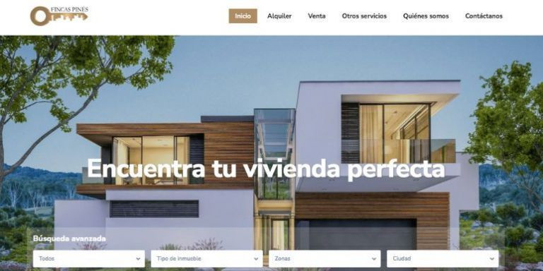 Portada de la página web de la supuesta empresa inmobiliaria Fincas Pinés / PINÉS